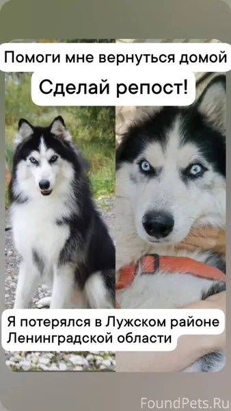 ПОСМОТРИТЕ ВНИМАТЕЛЬНО МОЖЕТ У...