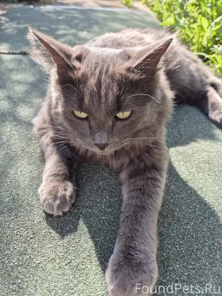 Всем здравствуйте! пропал серы...