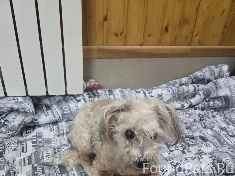 Я нашел: «В районе Оскочное, р...