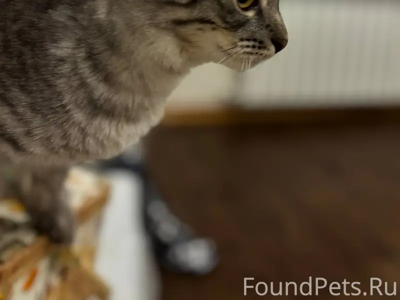 В начале декабря в районе ул.....