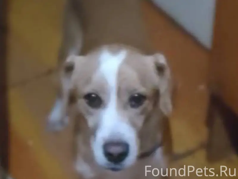 Доброго времени суток! Сегодня...