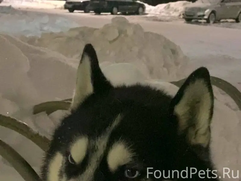 Всем доброго времени суток! В ...