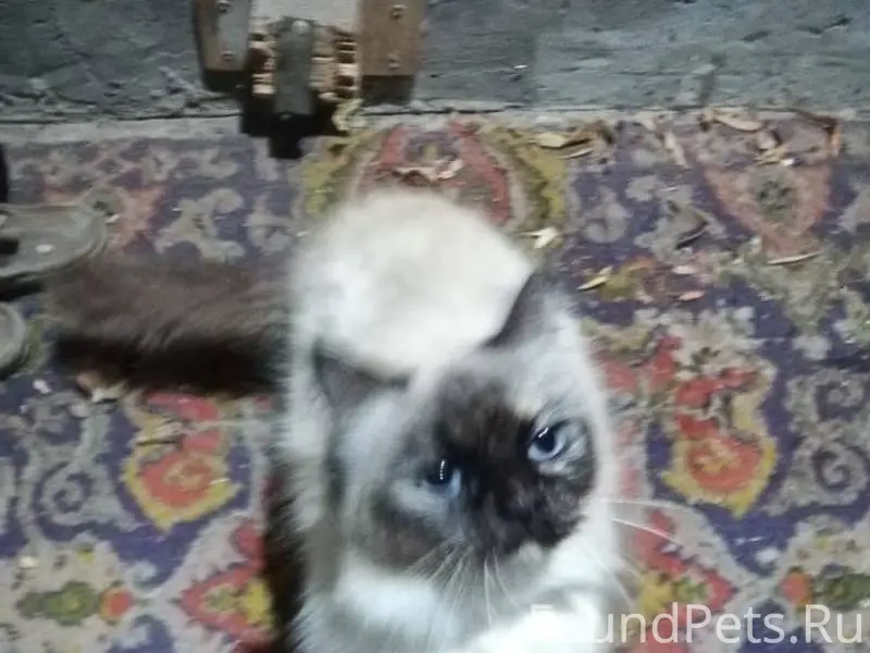 В районе РИИЖТА ( Ул. Ларина) ...