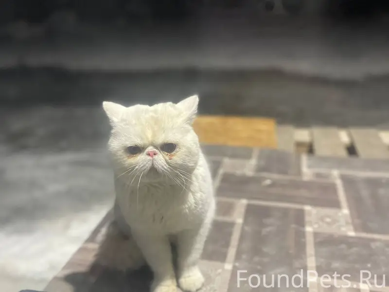 П. Восточный. Ул Ненароково 29...