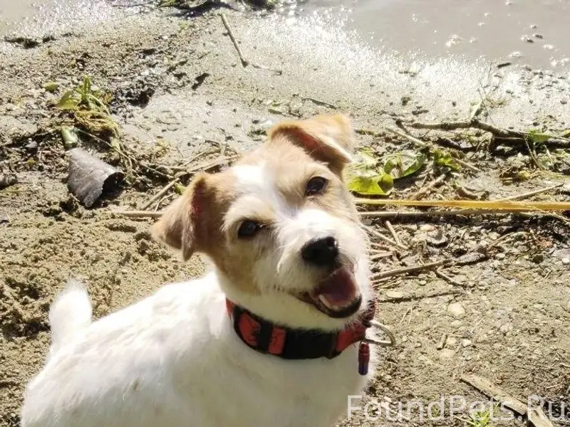 #Бюро_Находок_ВестникN Потерял...