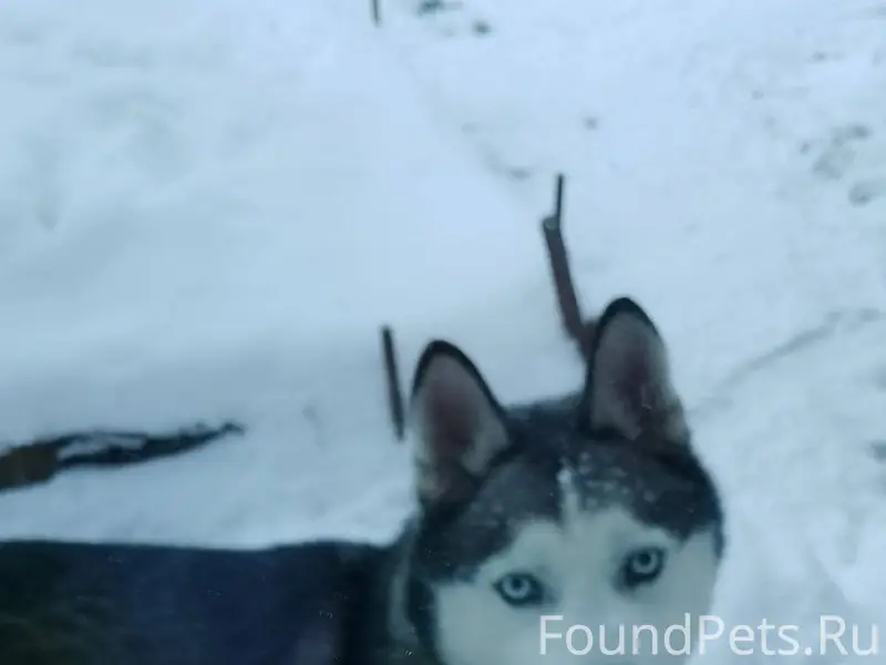 Админушка , пропусти пожалуйст...