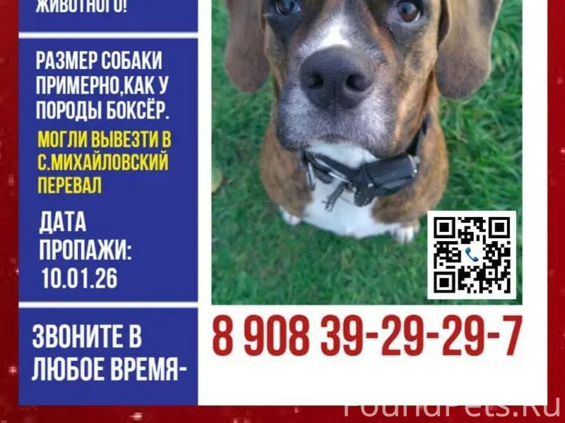 ПРОПАЛА СОБАКА! РАЙОН «МАГИЛАТ...