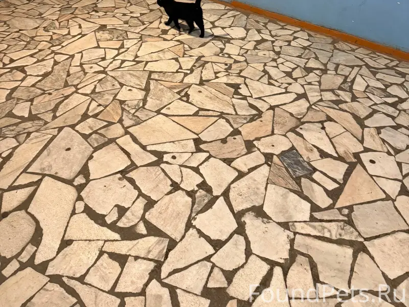 Найден (замечен) СРОЧНО!!! Бат...