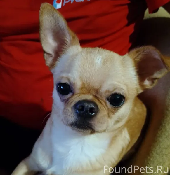 Сегодня в 7.40 у 1...