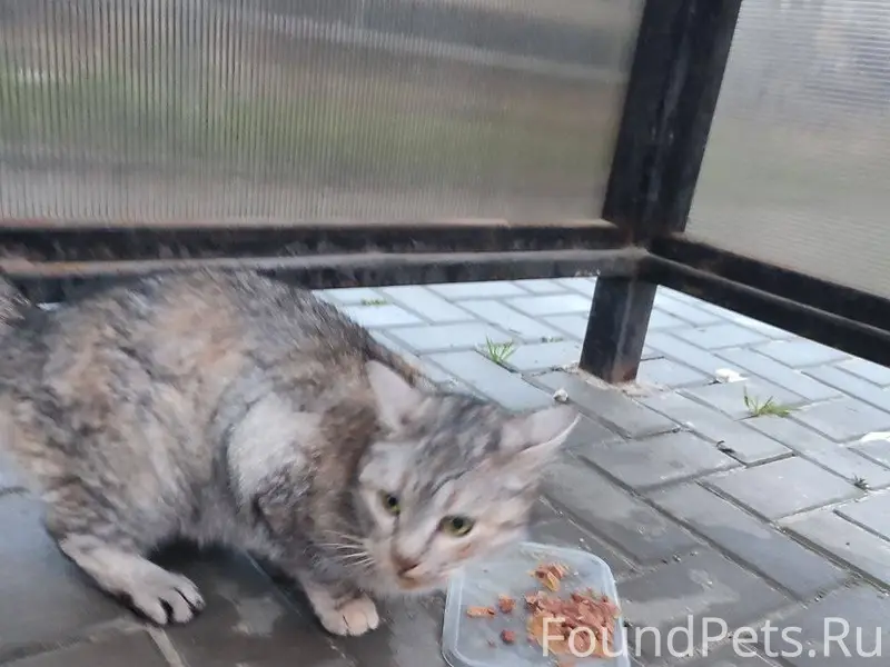 На ул.Шмидта на остановке напр...