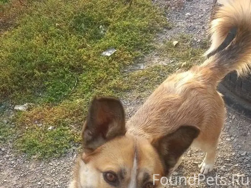 Друзья, здравствуйте! Максимал...