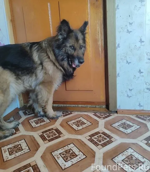 ‼️Внимание‼️Осинники, ул. Коро...