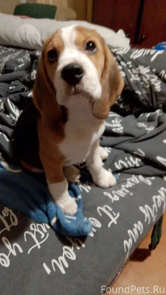 Рано утром в 1 подъезде на...