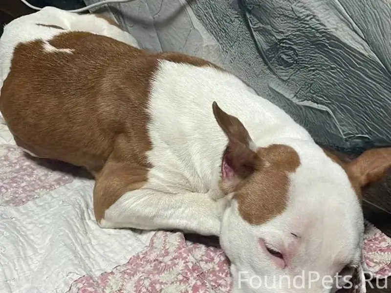 Не могу не поделиться радостно...