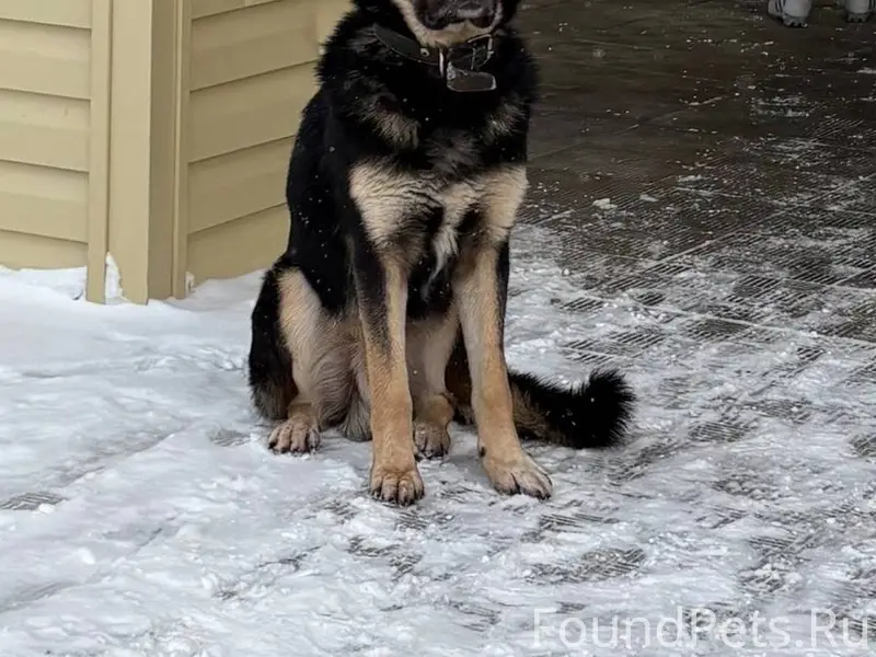 Второй день подряд возле 7 шко...