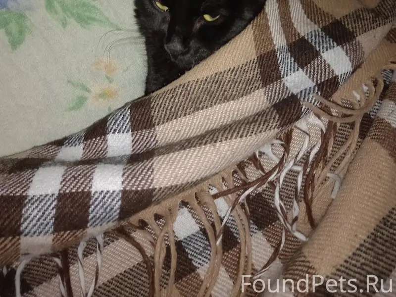 Друзья, максимальный репост. Э...