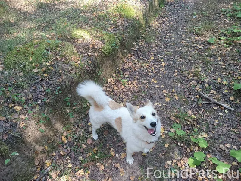 Здравствуйте! Помогите, пожалу...