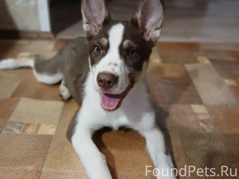 Найдена девочка ,в подъезде п...