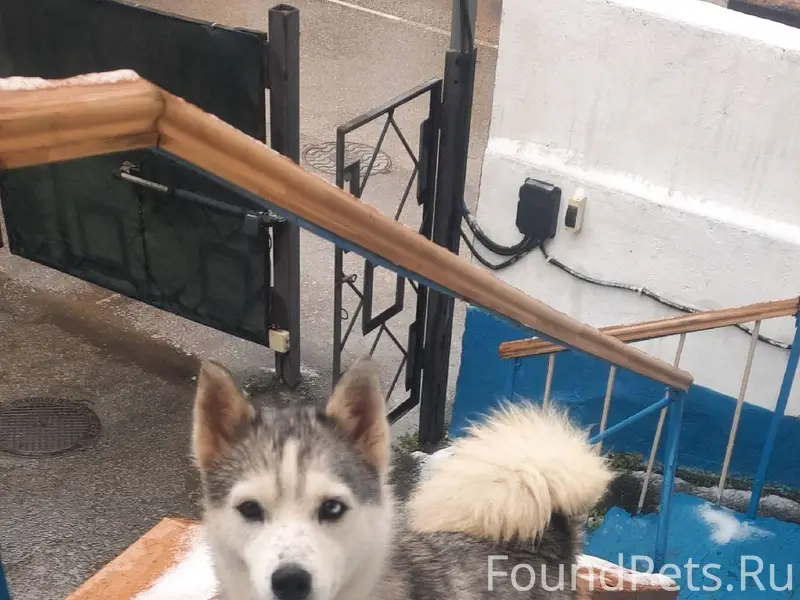 Уважаемые друзья! Уже нескольк...