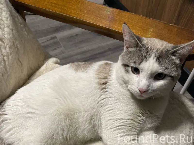 Ворошиловский район! Пропал КО...