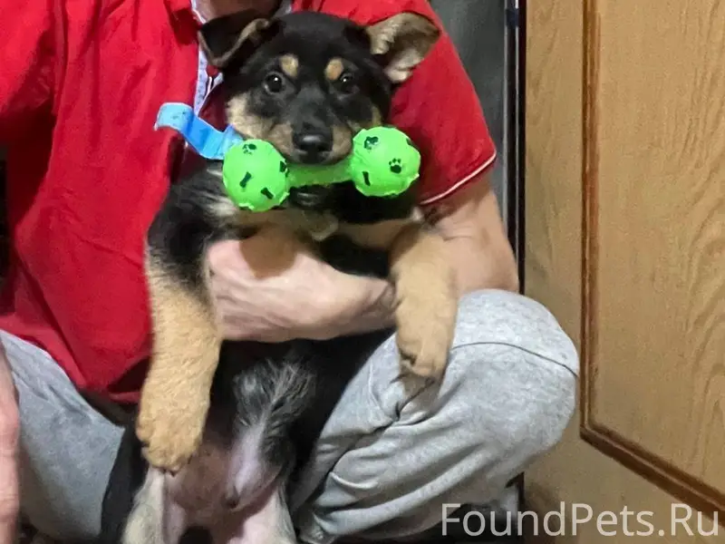 ❗️❗️❗️ПОИСК ПРОДОЛЖАЕТСЯ❗️❗️❗️...