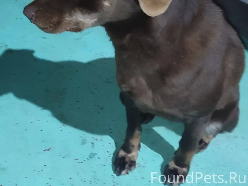 Добрый день, в районе Героевки...