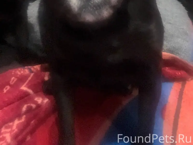 Сегодня в районе 11 часов в...