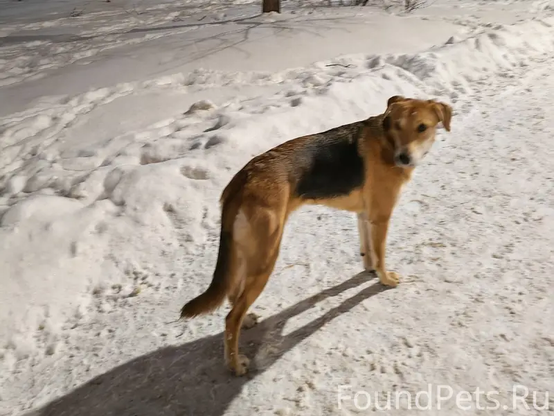 Кто потерял? Очень добрый, кон...