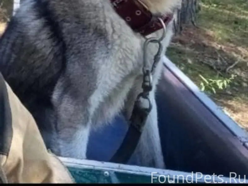 Добрый вечер уважаемые жители ...