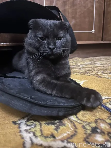 Срочно ‼️ очень нужна передерж...