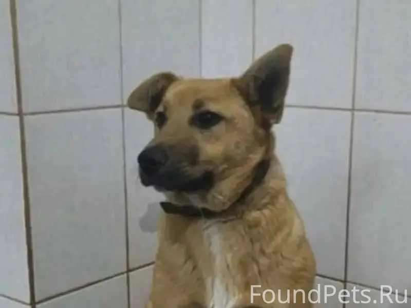 ‼️Важная информация ‼️SOS Поте...