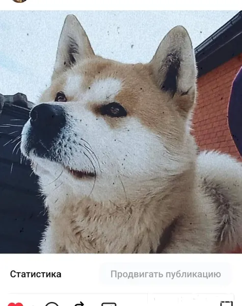 ⁉️⁉️⁉️⁉️⁉️⁉️⁉️⁉️⁉️⁉️⁉️ 14 янва...