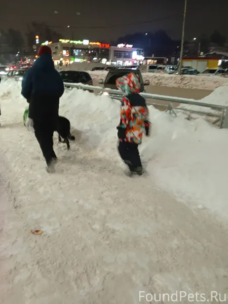 ВНИМАНИЕ: Позавчера был мой по...