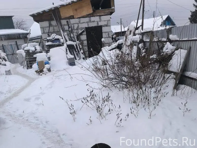 Машуля сильно переживает 🥲‼️‼️...