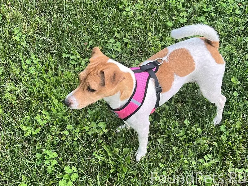 Максимальный репост, пожалуйст...