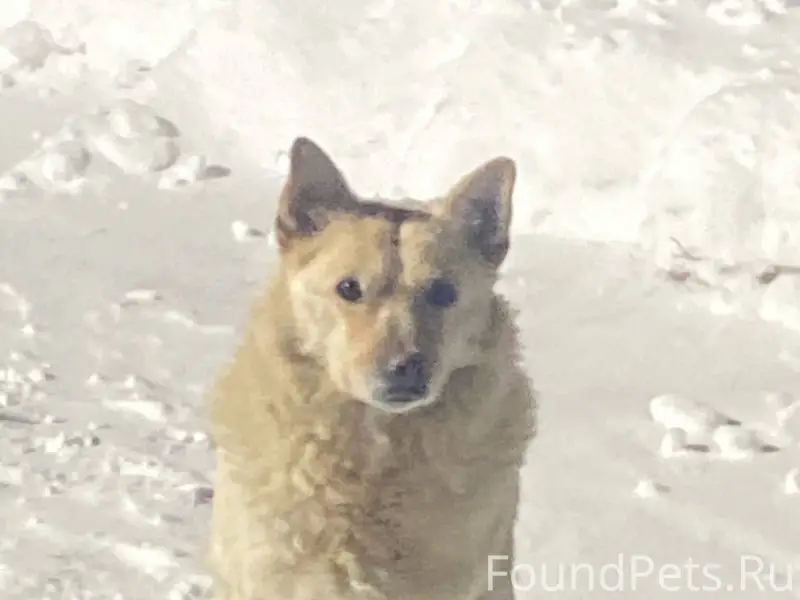 Доброго времени суток, на ул. ...