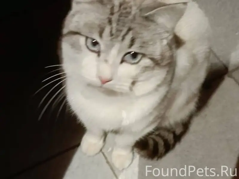 В конце декабря в районе 9...