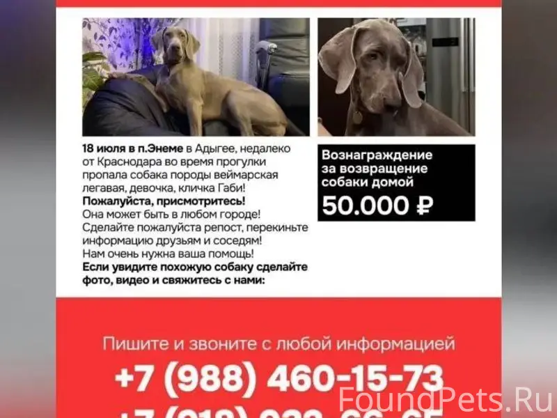 Розыск!!! По всем городам !!! ...