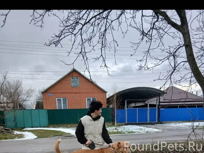 Сюпомогите найти пожалуйста со...