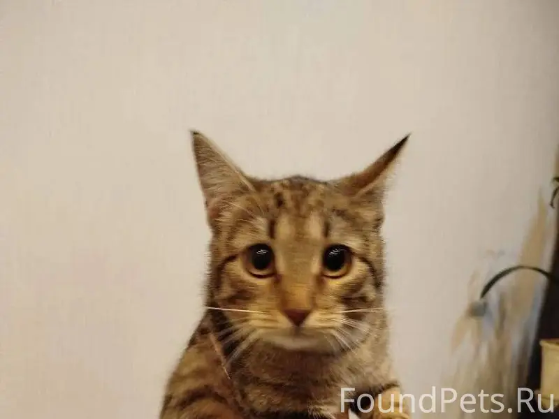 Обнинск Сегодня днем около Фор...