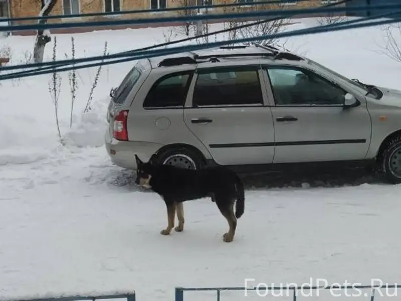 В военном городке, между домам...