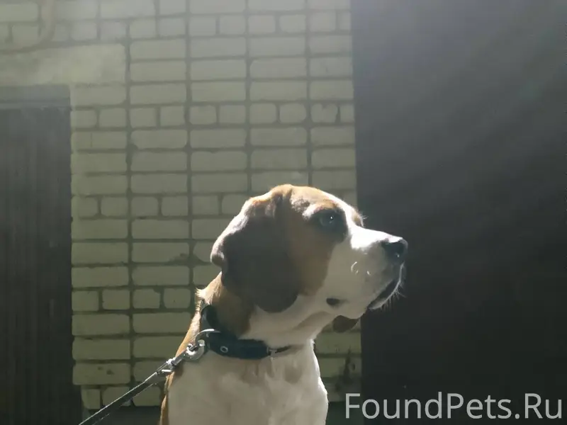 Вечер добрый. Сегодня днём пот...