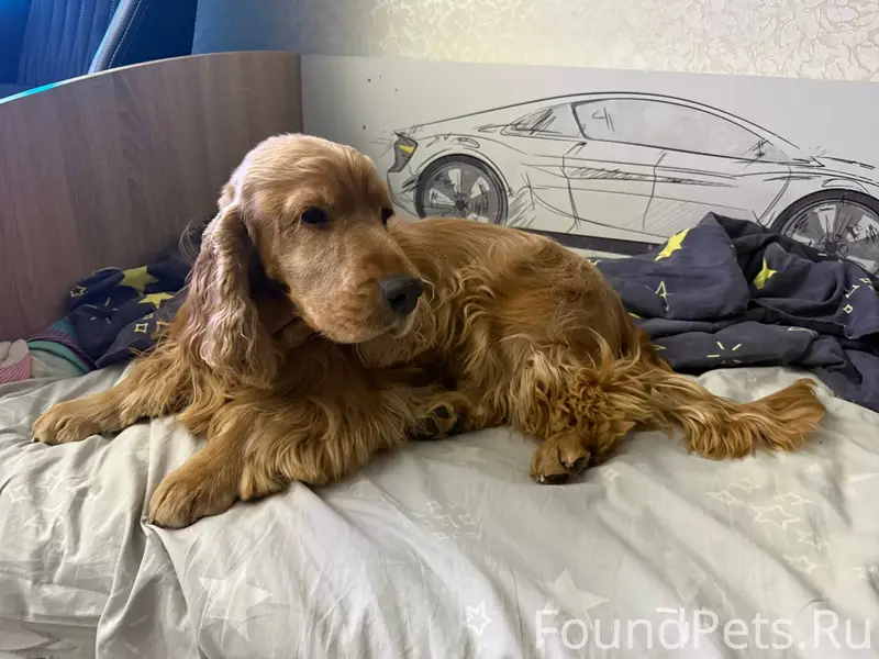 15 января в районе 15 часов...