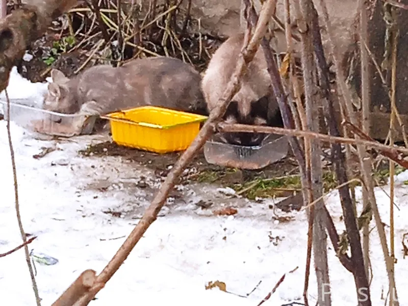 🚨🚨🚨 Район ул. Свободы и Кутузо...