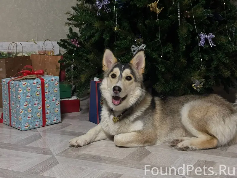 На Азина в районе корта 15...