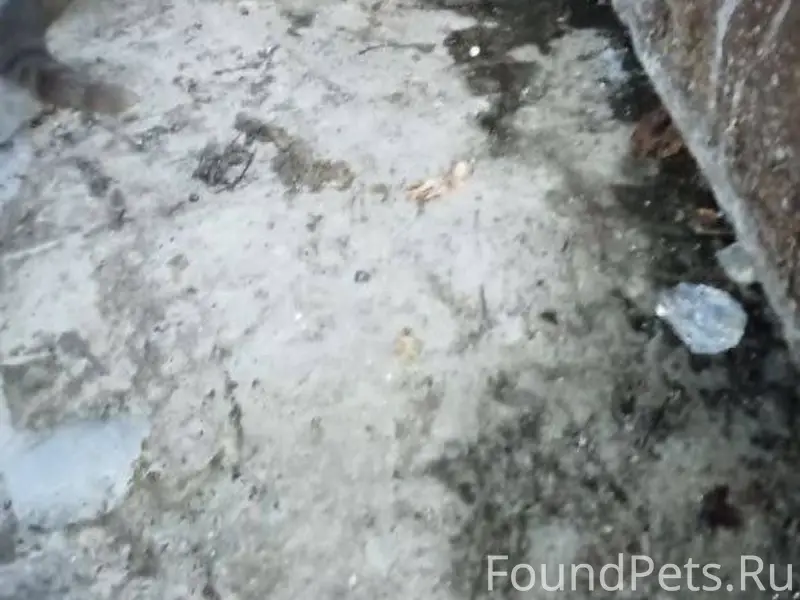 #находки@balahnalive В ждо на ...