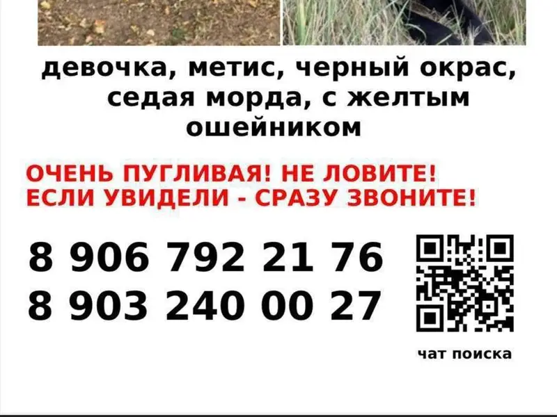 Оставляю для информации и шабл...