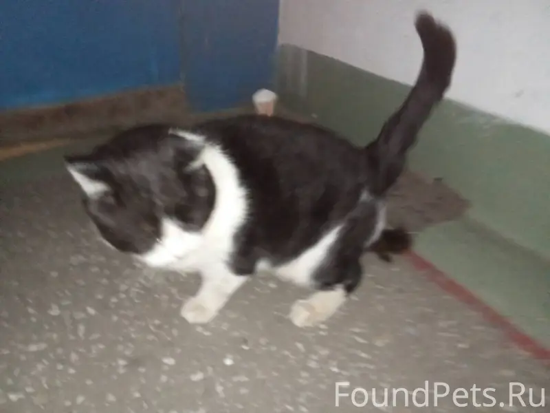 Поселок Солидарность,улица Лес...