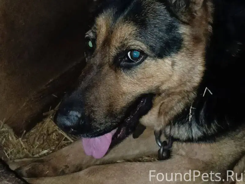 В районе Красного моста, город...