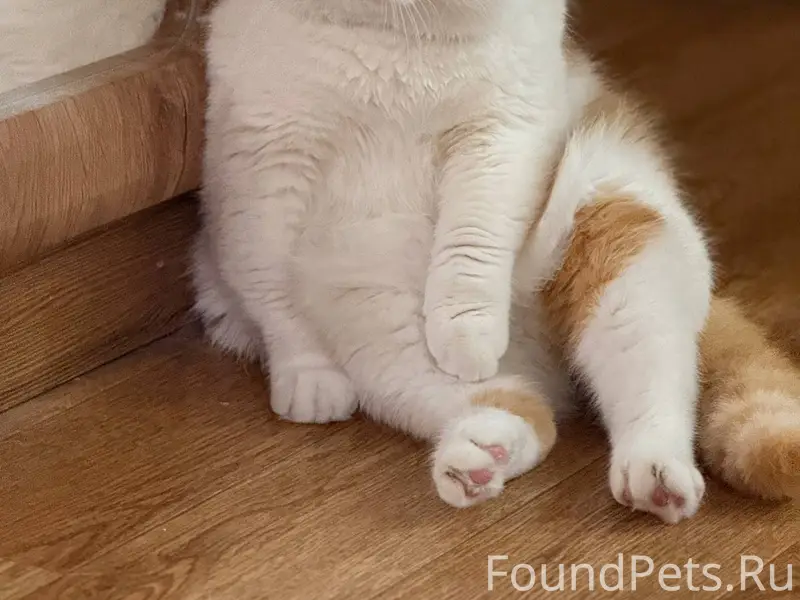 В г. Ангарск 8 января был...